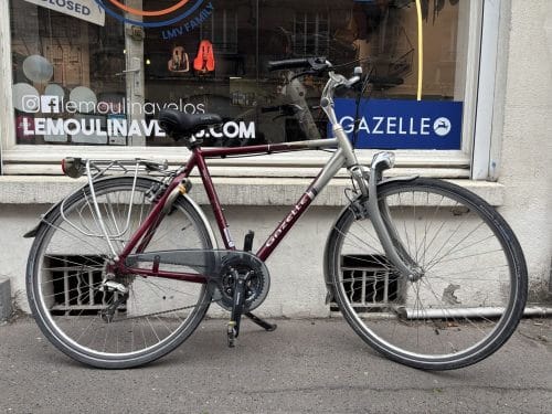 vélo Gazelle genève