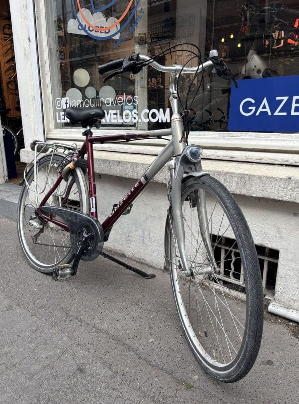 Vélo Hollandais Gazelle Genève