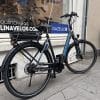 Vélo Électrique VAE Diamond Liberty