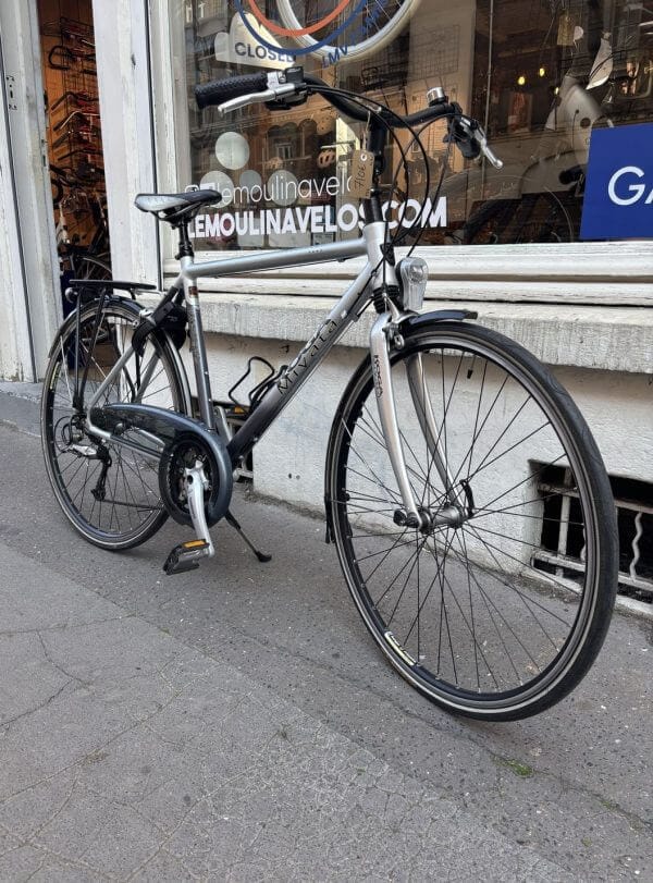 Vélo Hollandais Koga Roadspeed