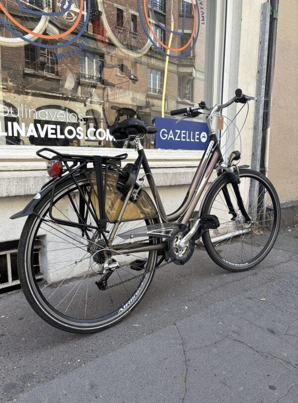 Vélo Hollandais Sparta Argeon