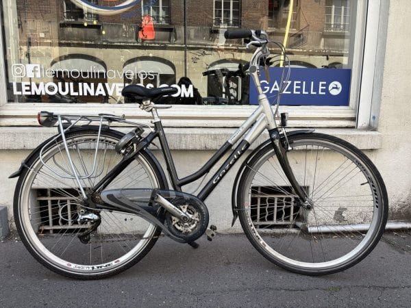 vélo gazelle zermatt