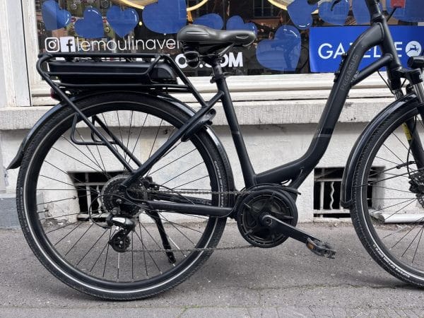 Vélo hollandais Pegasus solero