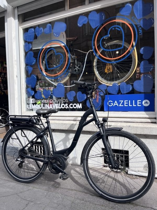 Vélo hollandais Pegasus solero