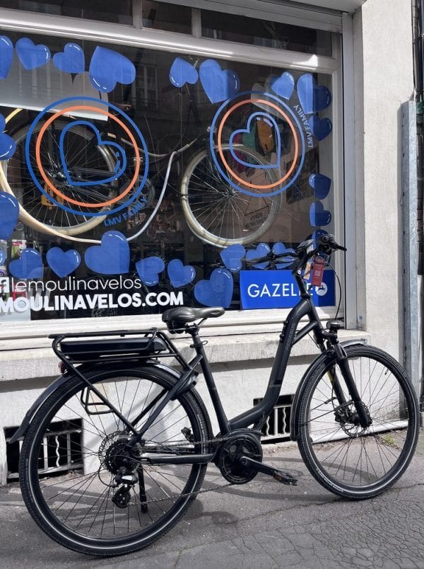 Vélo hollandais Pegasus solero