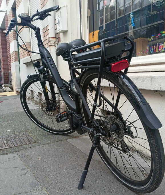 Vélo hollandais Pegasus solero