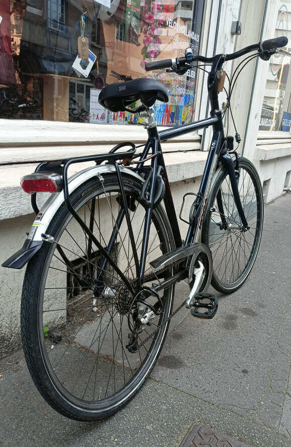 Vélo hollandais Koga roadspeed