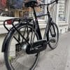 Vélo hollandais Trek Daytona