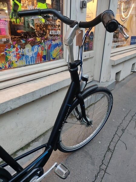 Vélo hollandais Batavus Mambo