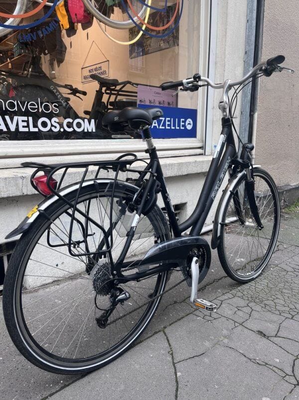 Vélo Raleigh Eagle