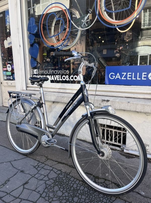 Vélo Hollandais Gazelle Chamonix