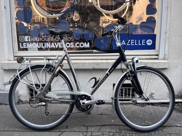 gazelle fuente goldline