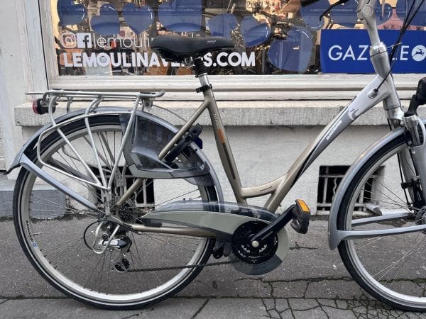 Vélo Batavus Zaragoza