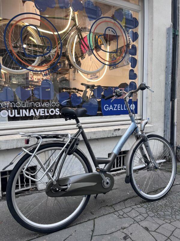 Vélo hollandais Grandeur Allons-y