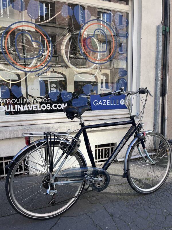 Vélo Batavus Kayenta