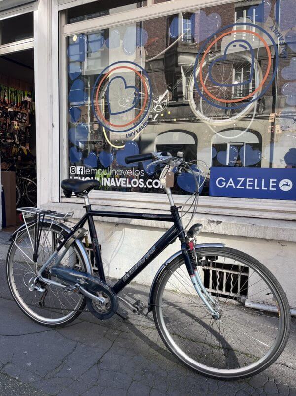 Vélo Batavus Kayenta