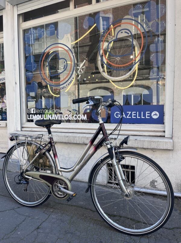 Vélo Koga Prominence Lady