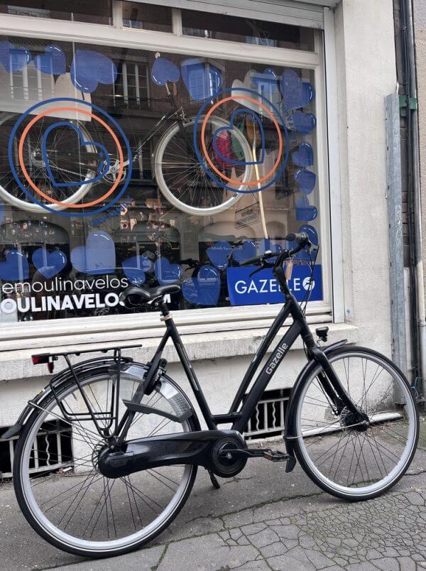 Vélo Gazelle Chamonix C8