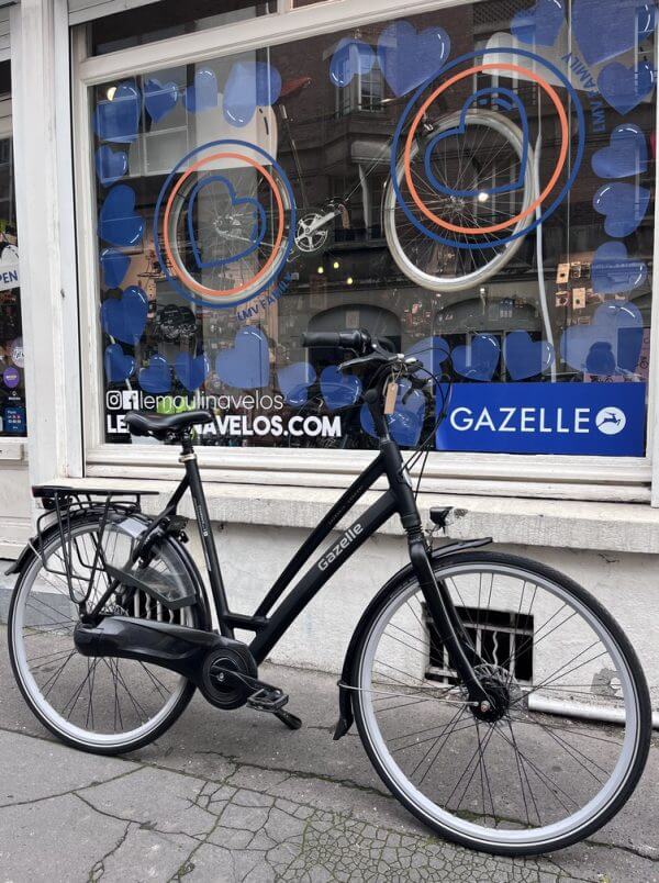 Vélo Gazelle Chamonix C8