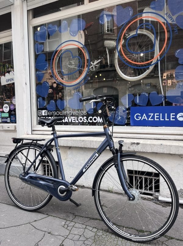 Vélo Batavus Monaco