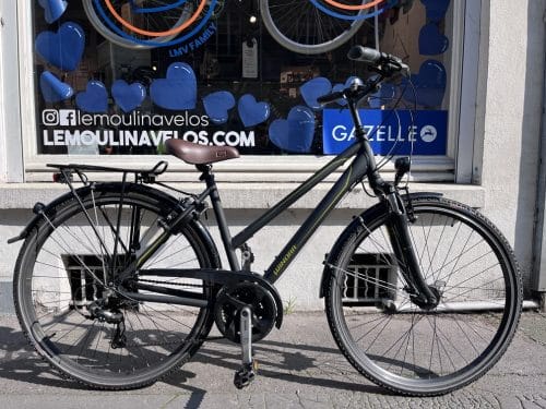 winora santiago winora santiago