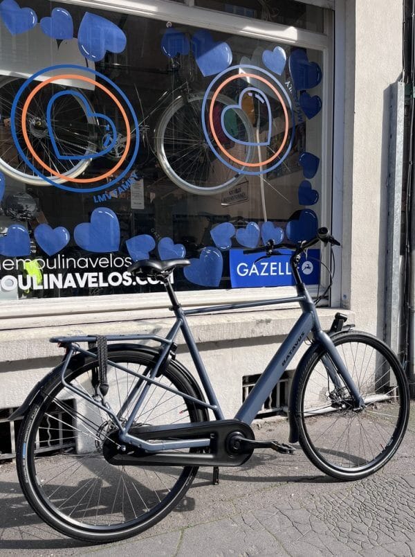 Vélo Batavus Mambo