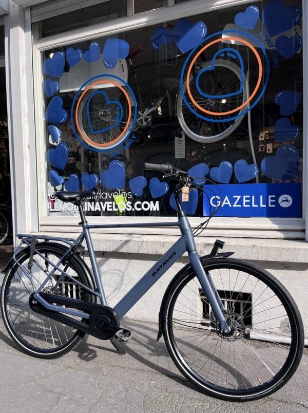 Vélo Batavus Mambo
