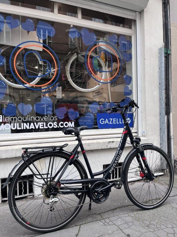 Vélo Pegasus Solero