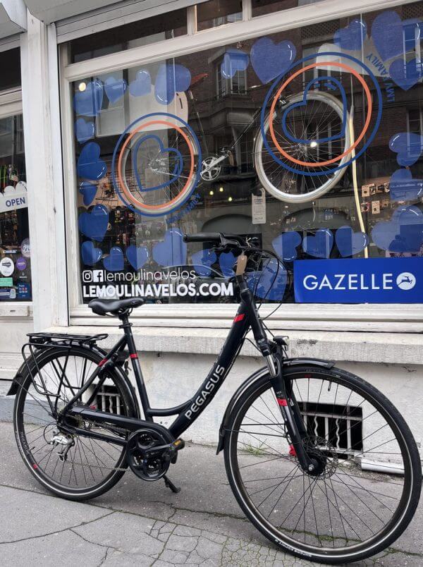 Vélo Pegasus Solero