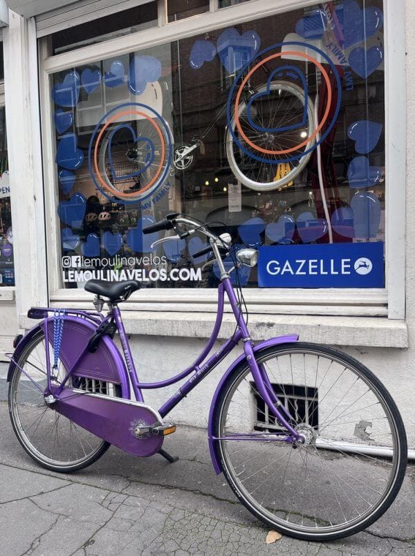 Vélo Batavus Old Dutch