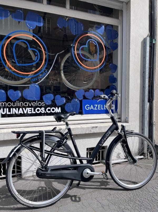 Vélo Batavus Mambo Inspire