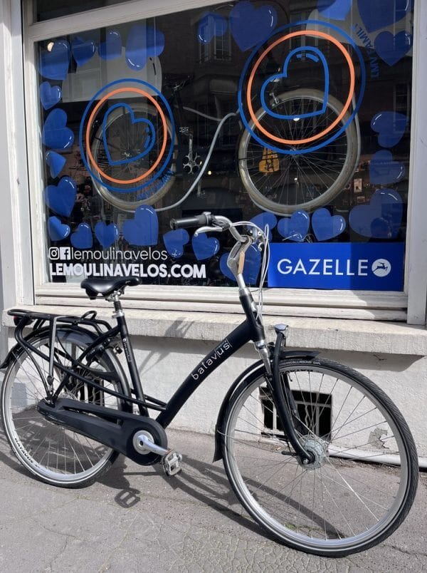 Vélo Batavus Mambo Inspire