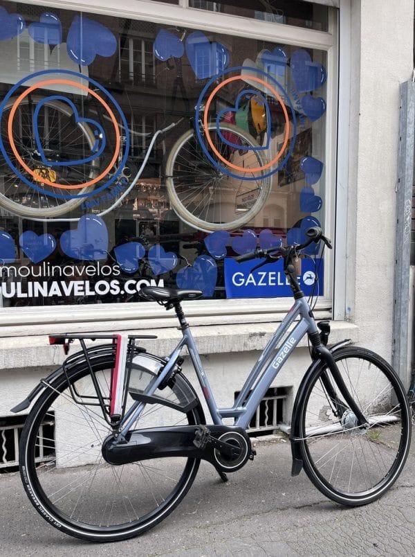 Vélo Gazelle Chamonix C7