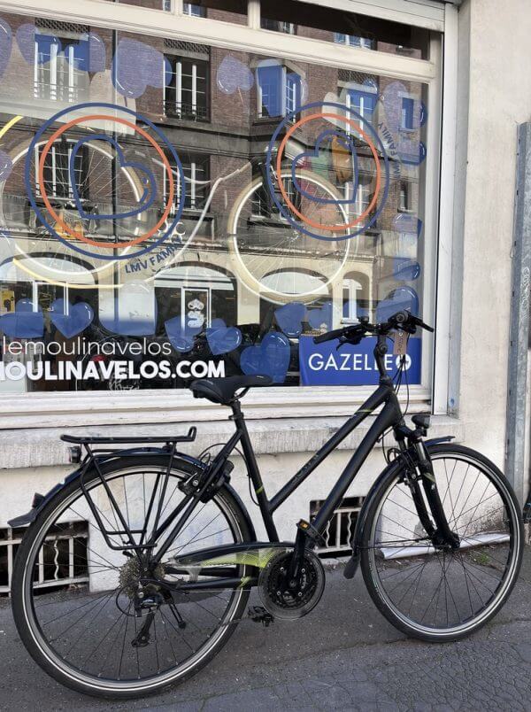 Vélo Kalkhoff Image