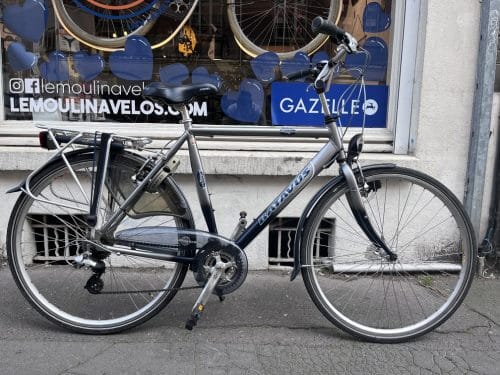 batavus navajo batavus navajo