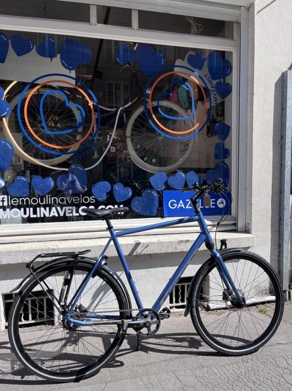 Vélo Koga F3 Séries