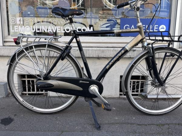 Vélo Batavus Weekend