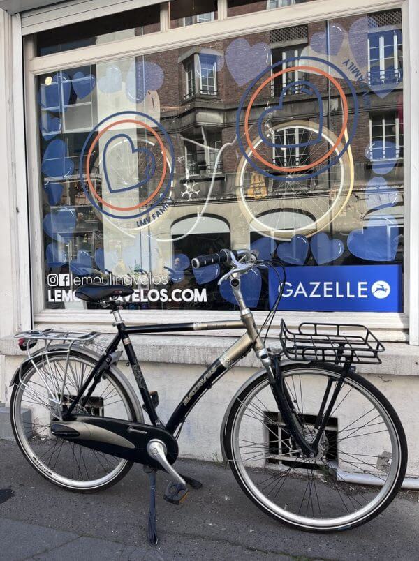 Vélo Batavus Weekend