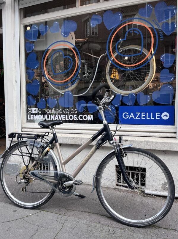 Vélo Gazelle Medeo Trekking