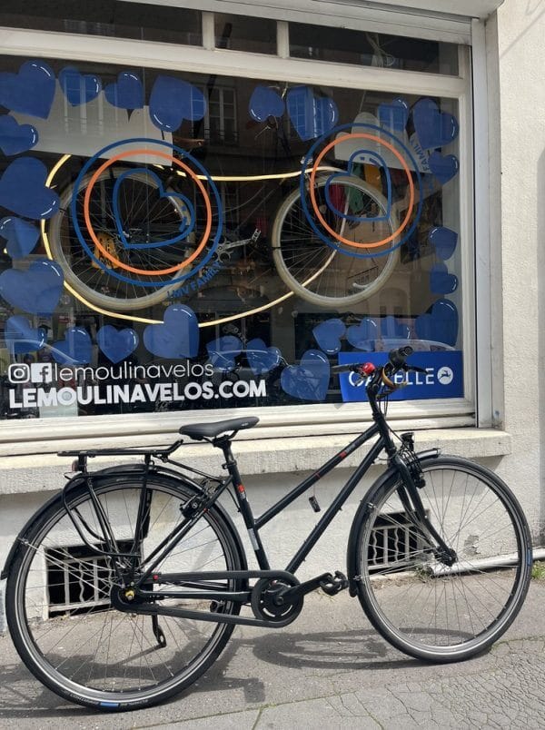 Vélo VSF FahrradManufaktur T300