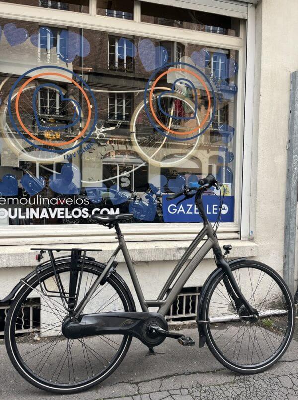 Vélo Gazelle Chamonix C8