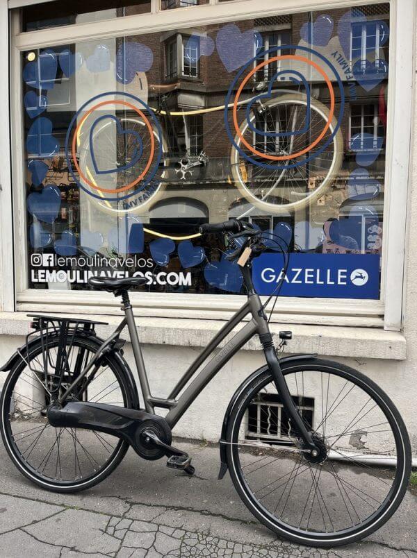 Vélo Gazelle Chamonix C8