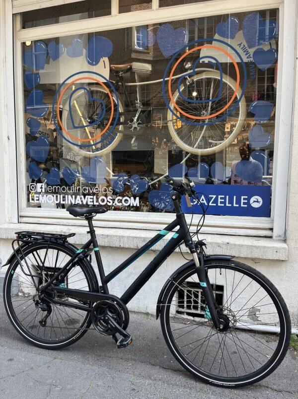 Vélo Pegasus Solero