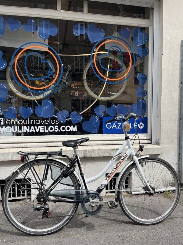 Vélo Venturelli Secure 7SP